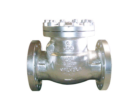 Swing Check Valve